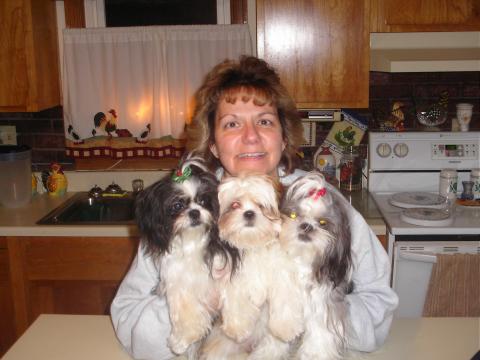 Patti and her puppies