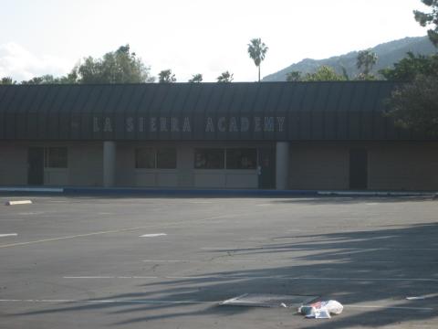 LSA in 2006