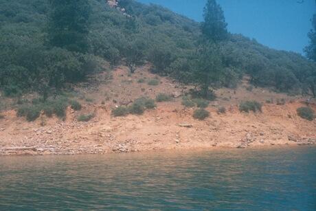 Lake Shasta & deer