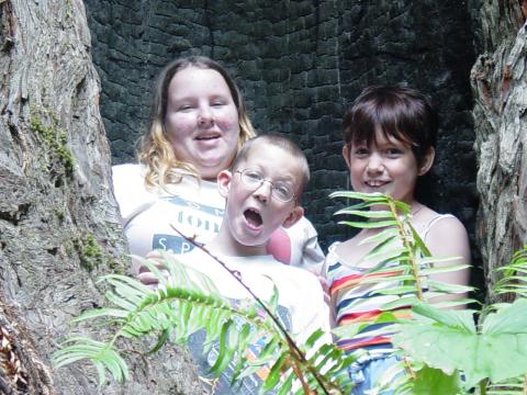 Trish, Katie, & Mikey in a Redwood tree