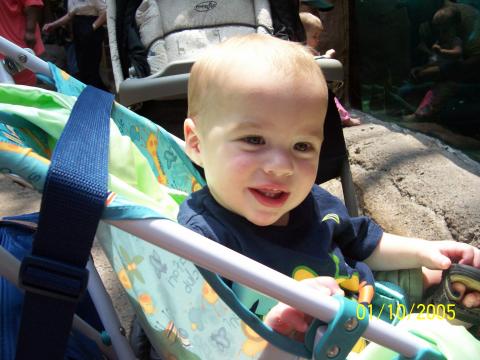 Ian at the aquarium