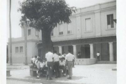 GRUPO-DEL-PALO-DE-MANGO