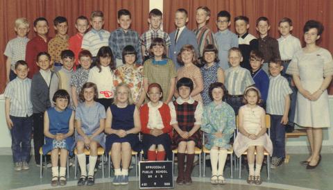 Sprucedale Grade 4/5 1966 or 1967