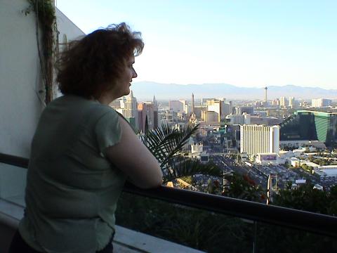 View of Vegas Strip