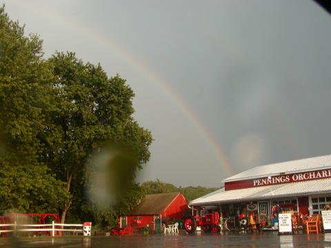 rainbow @pennings