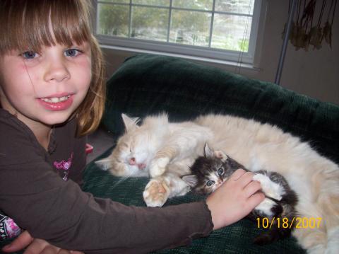 Abby with Angel, and the "babycat" Ferre