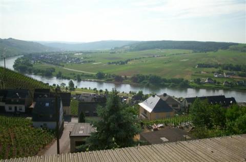 the Mosel River in Ürzig