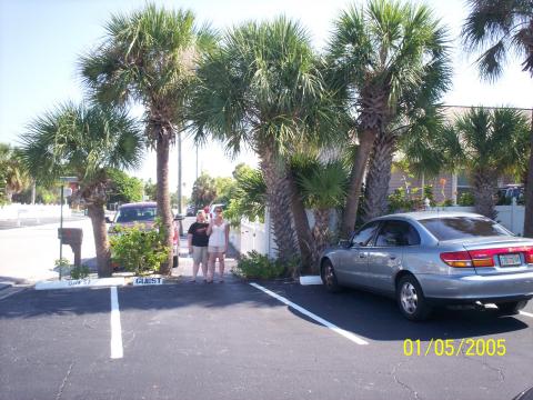 steph and i under palm trees