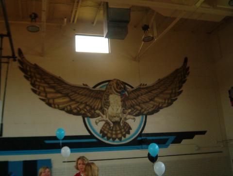 The Falcon in the gym