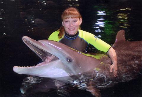 Epcot Swim with the Dolphins Experience