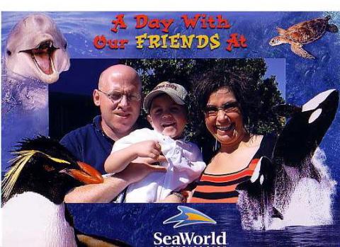 Seaworld 2004