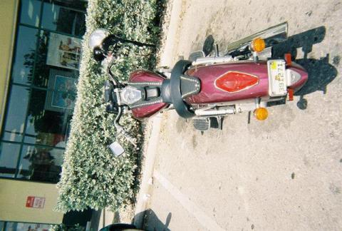 rear shot Lisa's bike