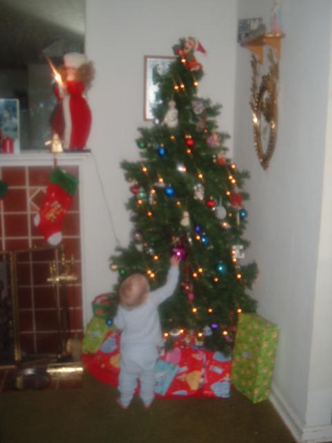 Zachary with ourTree