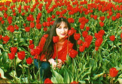 Tulip Fields, WA