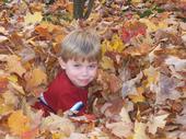 Trever playing in the leaves
