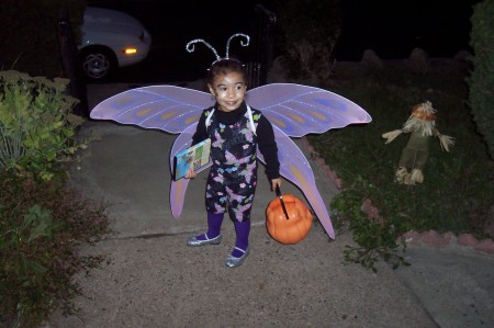 My Hallowween Butterfly