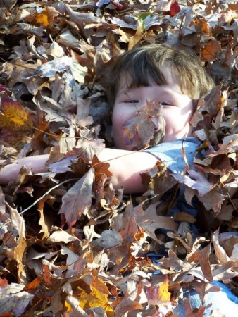 Kaden buried in the leaves!