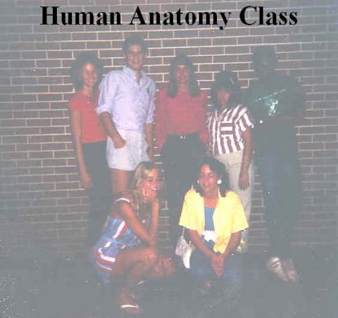 Human Anatomy class