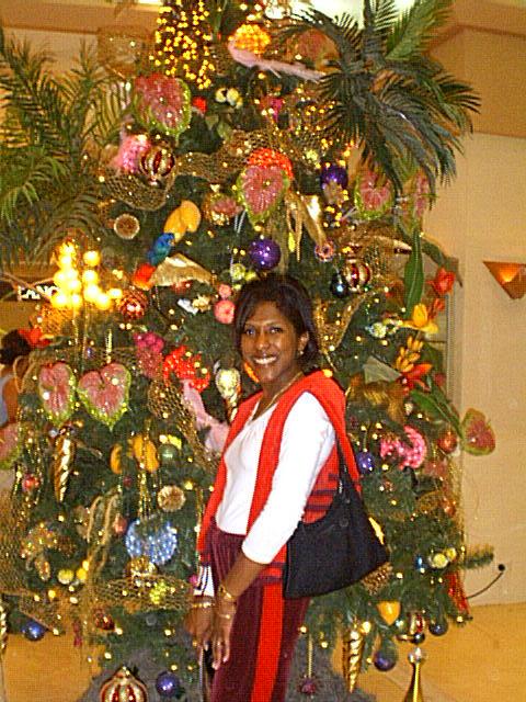 Monica Cozumel Christmas Tree