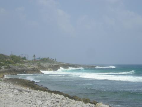 Grand Cayman June 10-17, 2006