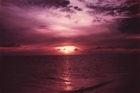 Waikiki Beach Sunset 1963