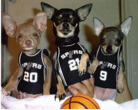 spurs dawgs