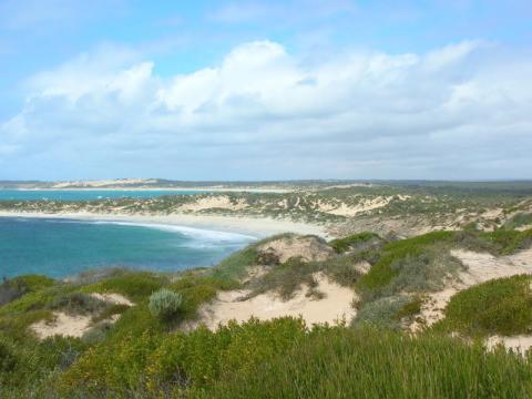 coastal view S Aust