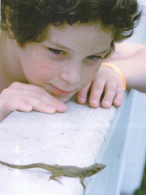 PETER WITH A FL. ANOLES