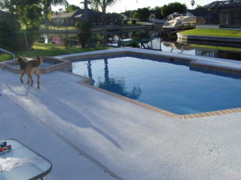 THE POOL 2007
