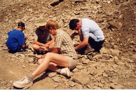 Digging fossils