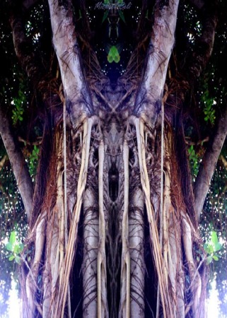 The Tree God