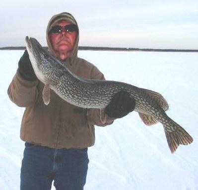 MAINE PIKE 1-12-08