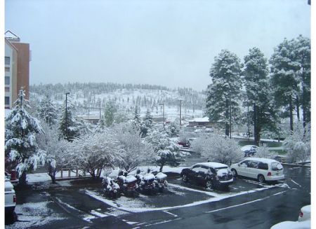 Snow on bikes in Arizona