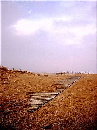 Walkway to Ocean