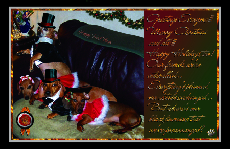 2008 Christmas Card (Front)