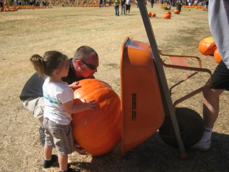 Pumpkin patch '08