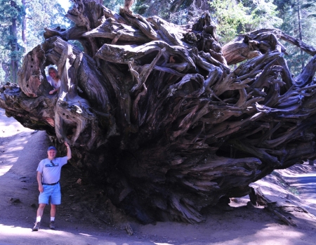 Sequoia National Park, CA