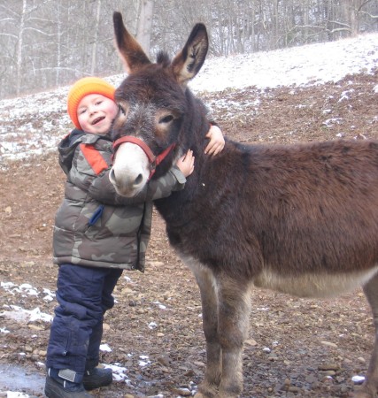 Bo Brissey (age 4 with Julio-reg. mini donkey)