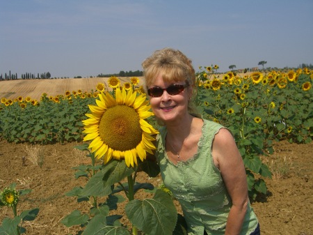 Tuscany in July