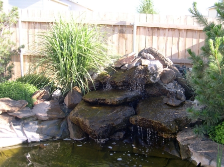 Our koi pond. I did it myself!