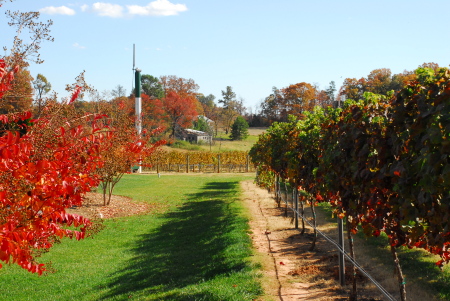 Green Creek Winery