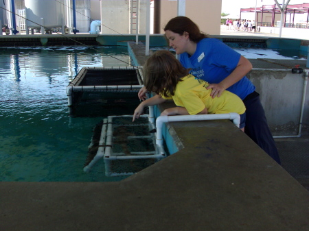 Mattie getting to pet a shark at Sea World