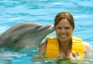 dolphin and me