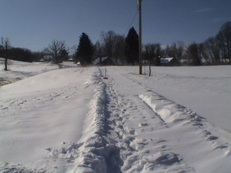 Snowy Driveway