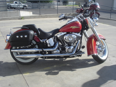 Beautiful 2008 Harley Soft Tail Deluxe