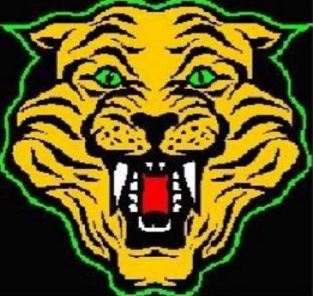 wildcat logo