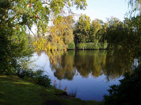 Reflections on the Lake