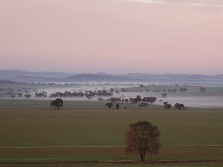 Fog over Wagga Wagga, NSW 2650