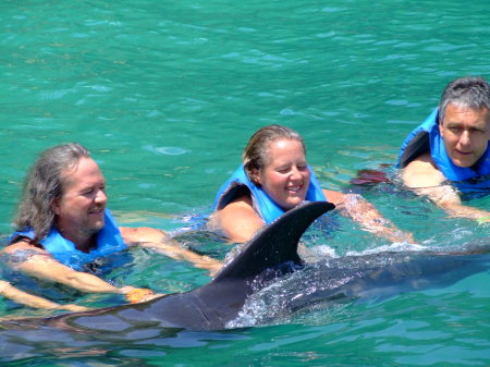 Swimming with the dolphins in Ocho Rios