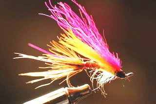 a salmon fly I made